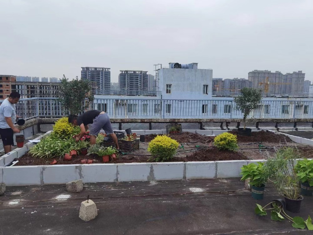 海綿型種植容器在既有屋面的實施案例